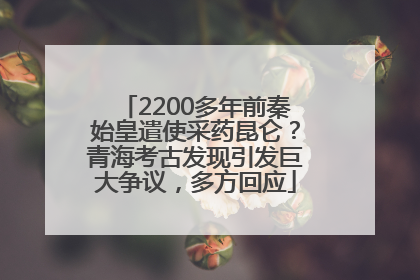 2200多年前秦始皇遣使采药昆仑？青海考古发现引发巨大争议，多方回应
