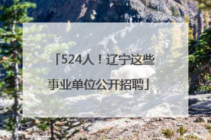 524人！辽宁这些事业单位公开招聘