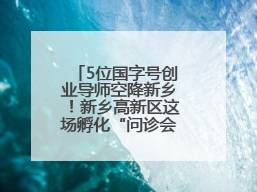 5位国字号创业导师空降新乡！新乡高新区这场孵化“问诊会”干货满满
