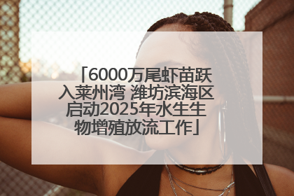 6000万尾虾苗跃入莱州湾 潍坊滨海区启动2025年水生生物增殖放流工作