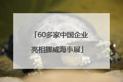60多家中国企业亮相挪威海事展
