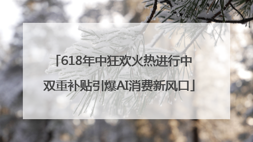 618年中狂欢火热进行中 双重补贴引爆AI消费新风口