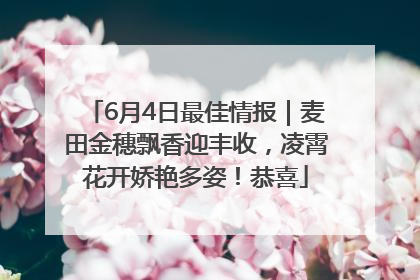 6月4日最佳情报｜麦田金穗飘香迎丰收，凌霄花开娇艳多姿！恭喜