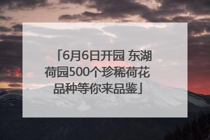 6月6日开园 东湖荷园500个珍稀荷花品种等你来品鉴