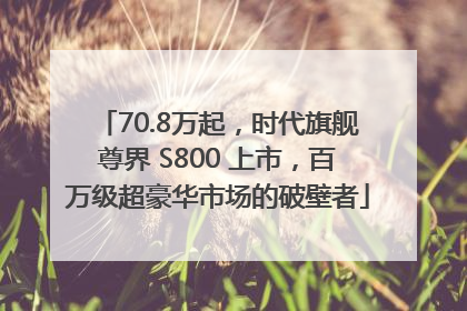 70.8万起，时代旗舰尊界 S800 上市，百万级超豪华市场的破壁者
