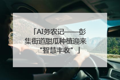AI务农记——彭集街道甜瓜种植迎来“智慧丰收”