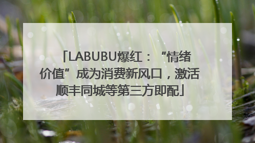 LABUBU爆红：“情绪价值”成为消费新风口，激活顺丰同城等第三方即配