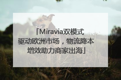 Miravia双模式驱动欧洲市场，物流降本增效助力商家出海