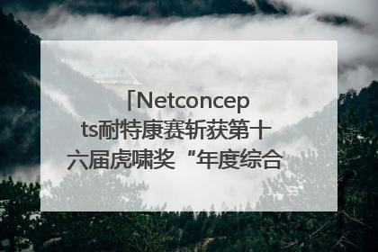 Netconcepts耐特康赛斩获第十六届虎啸奖“年度综合服务商”大奖