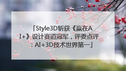 Style3D斩获《赢在AI+》设计赛道冠军，评委点评：AI+3D技术世界第一